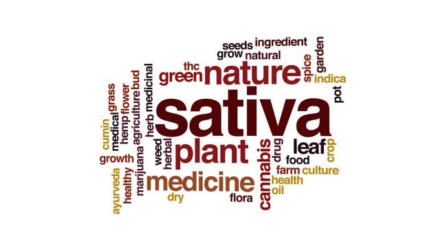 Sativa animated word cloud, text design animation.