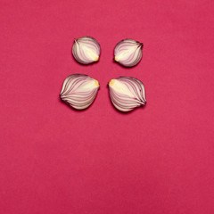 Red onion on a red background