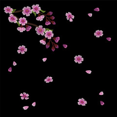 Embroidery blossoming cherry branches on a black background