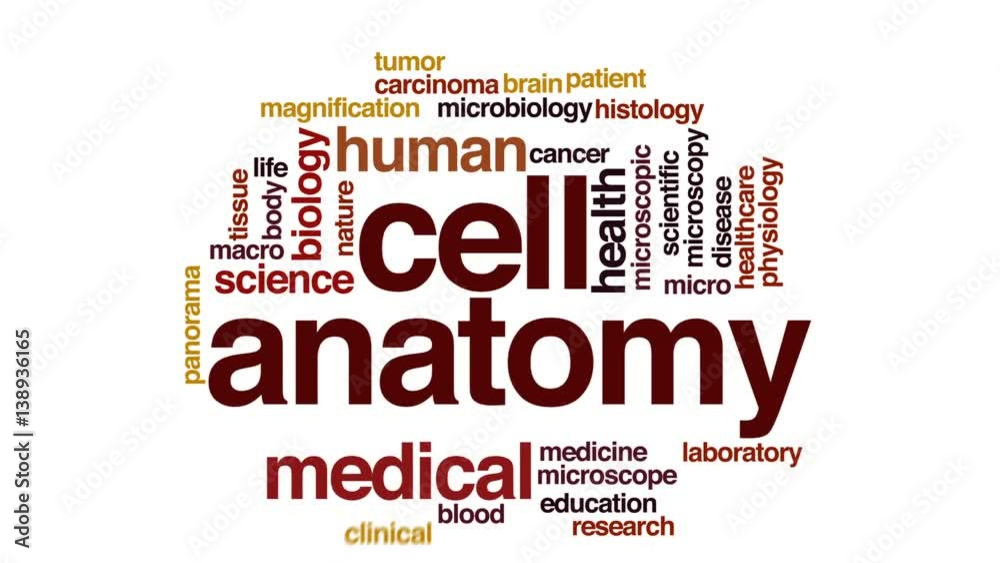 Sticker cell anatomy animated word cloud, text design animation.