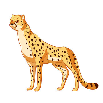 Cartoon smiling Cheetah