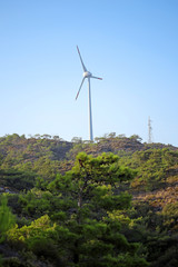 The windmill and pine tree in Turkey.