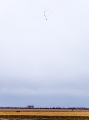 Air show in the sky above the Krasnodar airport flight school. Airshow in honor of Defender of the Fatherland. MiG-29 in the sky.