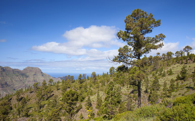 West Gran Canaria in February