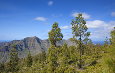 West Gran Canaria in February
