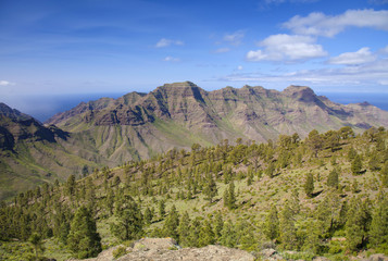 Fototapeta premium West Gran Canaria in February