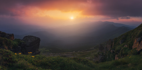 Naklejka premium Ukraine. Carpathians. Sunset over the Chernogorskiy ridge. Colorful sunset over the mountain peaks of the Carpathians, the mountain slopes are covered with green grass.
