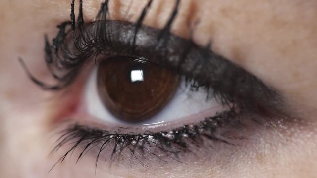 Macro- beautiful brown eye opens