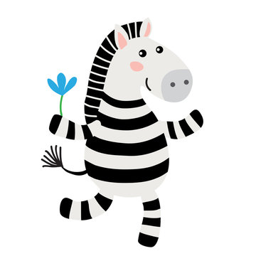 Cute cartoon zebra
