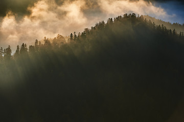 Szczy gór we mgle w Pieninach  © barytek