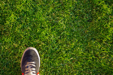 zapato en el c&eacute;sped