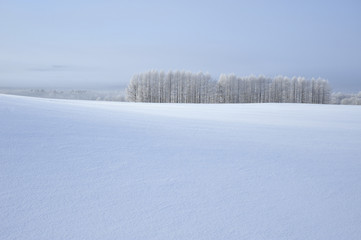 雪原