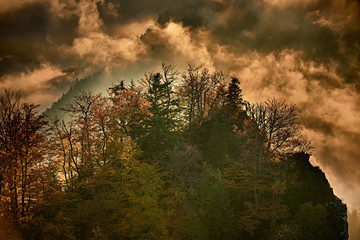 Pieniny, szczyt górski we mgle,