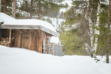 A beautiful wooden house in woods in Norway