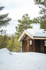 A beautiful wooden house in woods in Norway