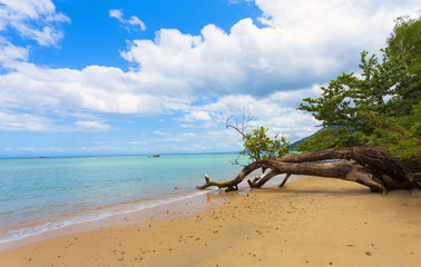 Beautiful dream paradise beach, Madagascar