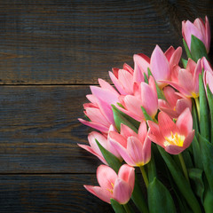 Bunch of Pink Tulips on Wooden Dark Background