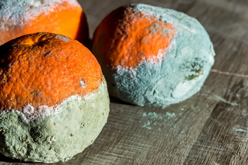 Rotten and fresh tangerine fruit with mold.