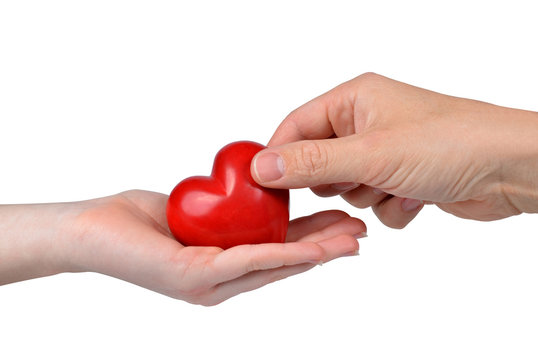 Red heart in woman and man hands on white background.