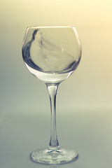 Splash water in a glass on a gray background