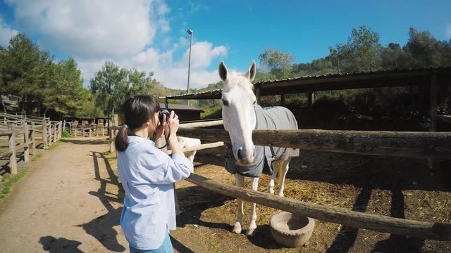 Camera movers around excited and smiling young brunette girl takes a photo of big white horse behind wooden fence at sunny day