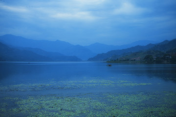 Foggy morning on the lake