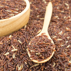 Germinated brown rice, GABA rice.