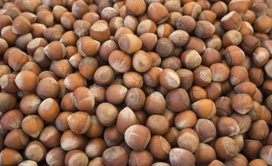 hazelnuts photo, hazelnuts background, raw nuts, nuts shell, hazelnuts pile, hazelnuts for sale, hazelnuts macro