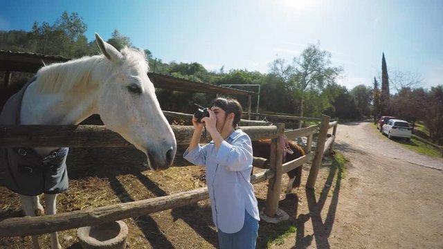 Camera movers around smiling young brunette girl takes a photo of old white horse behind wooden fence at sunny day in a farm