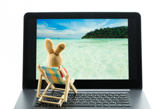 Rabbit doll relaxing on beach chair looking at photo on laptop, Isolated on white background.