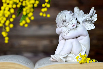 Fototapeta premium Angel and mimosa flower