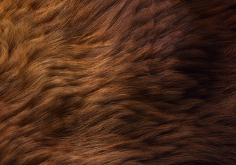 Wavy Animal Fur