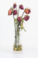 Withered roses in vases - 138954572