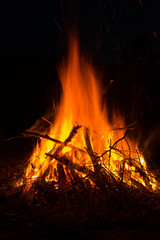 Fire flames on a black background