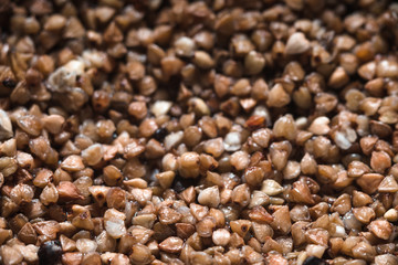 Buckwheat  background cloth-up