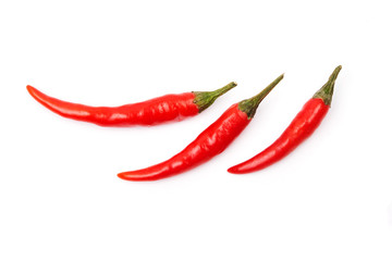 chili pepper isolated on a white background
