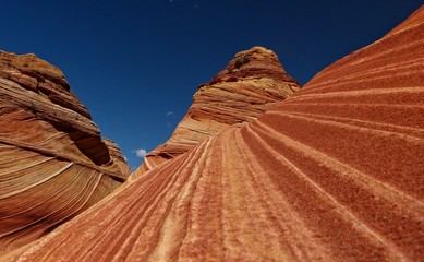 Lines at The Coyote Buttes 