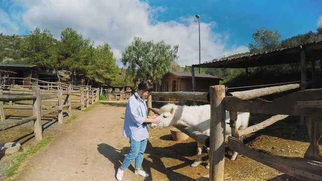 Small attractive brunette girl smiles and walks in horse farm at sunny spring day with her photo camera on neck, and strokes horses behind wooden fence