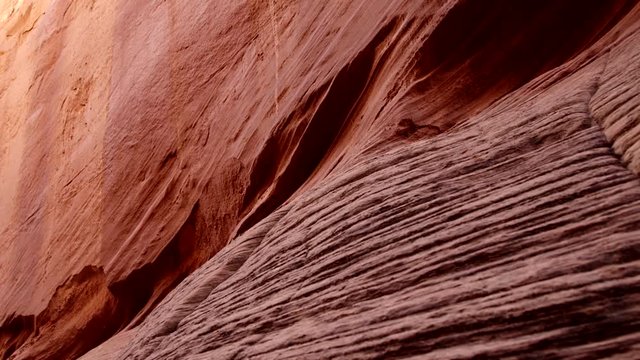 This sandstone wall was carved over the millennium by flash floods that sometimes roar through the canyon, forming this colorful and sensuously curved texture.