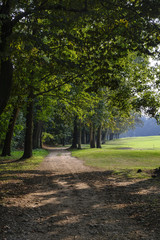 Monza (Italy), the park in autumn