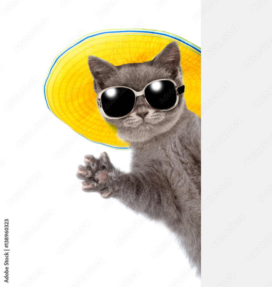 Poster cat in sunglasses and hat peeking from behind empty board and waving his paw. isolated on white back