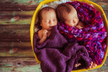Charming little babies sleeing yellow basket under violet cloth