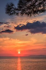 Naklejka na ściany i meble Beautiful scenic sea sunset landscape with pine tree branch and sun reflected from water surface at Black sea coast. Seaside scenery with clouds and sun track. Vertical view