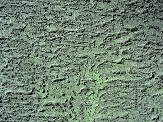 Светло-зеленая текстура стены