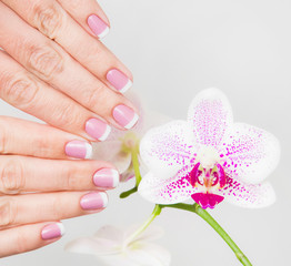 Closeup of female fingers with french spring manicured  fingernails close to branch of beautiful orchid flowers isolated on white background. Painted with modern gel-polish with top cover.