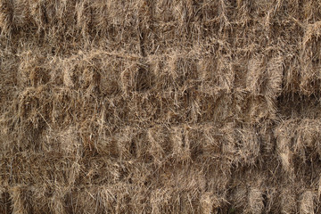 Haystack