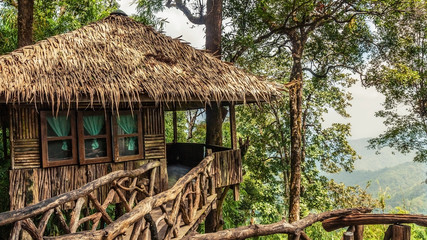 Treehouse at national park with mountain - 138965385