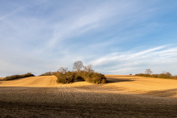 Spring landscape with pasture, trees and blue sky