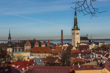 Obraz premium Tallinn city. Estonia,panorama view