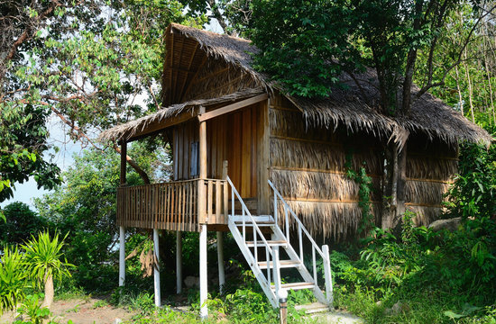 thatched bungalow in a tropical forest